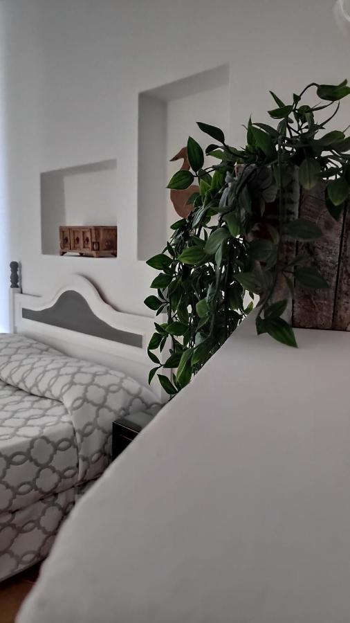 Aptos Con Piscina El Flamboyan 1 Teseguite المظهر الخارجي الصورة